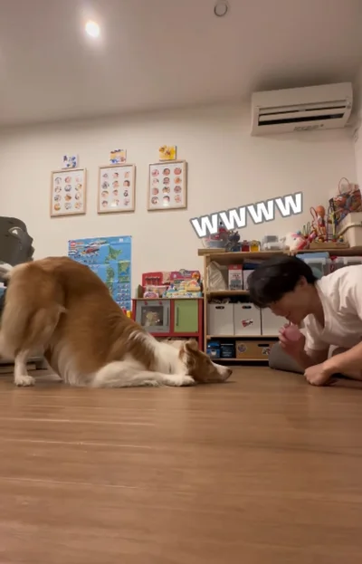 お尻だけ立ってるラスカル君（⇒次へ）