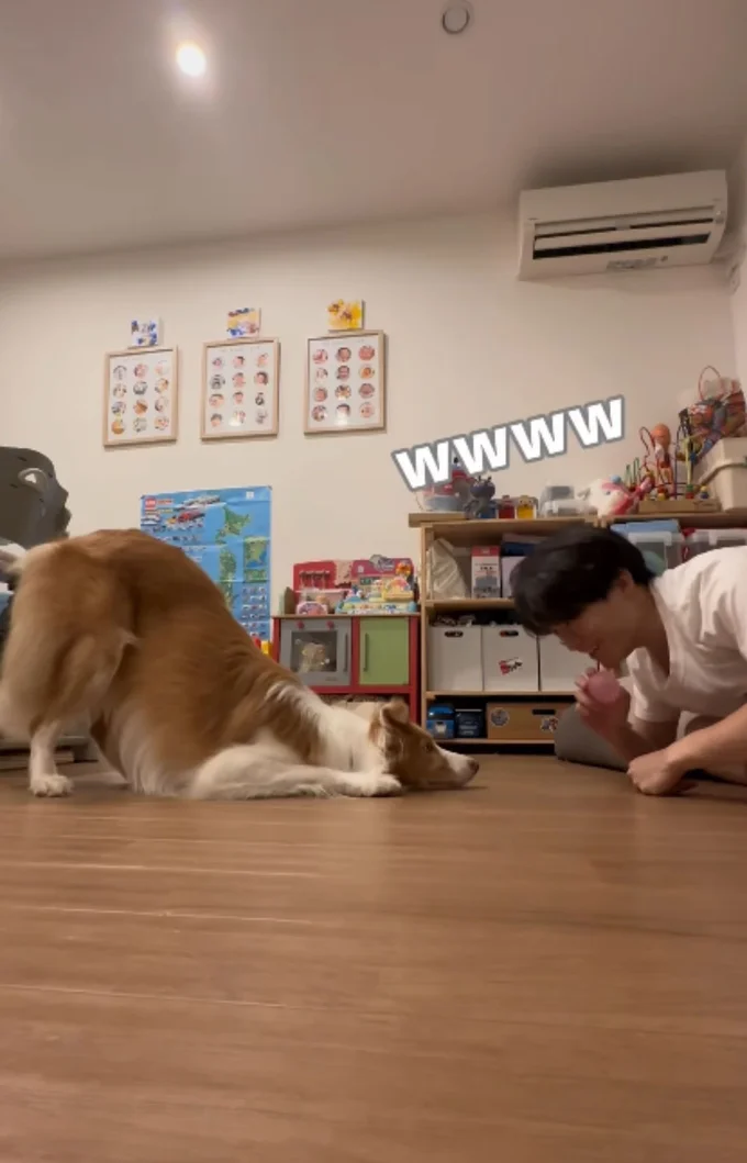 お尻だけ立ってるラスカル君(⇒次へ)