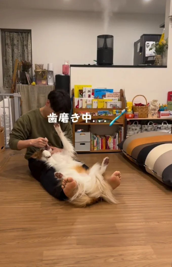 上手に歯磨きさせてくれる▶大好きな人との再会では…(⇒次へ)