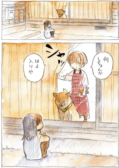 『柴犬ぽんちゃん、今日もわが道を行く』より