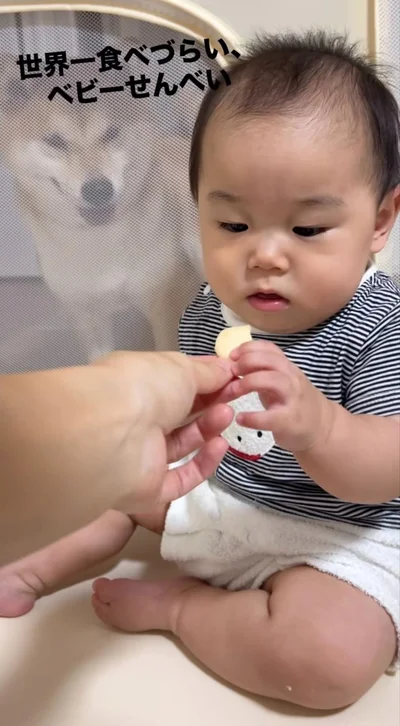 赤ちゃんがベビーせんべいを食べるのを見つめる“あめまる君”（⇒次へ）