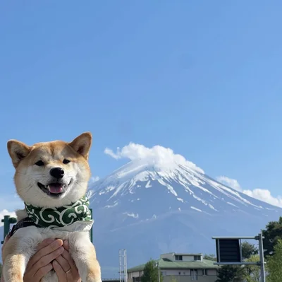 富士山をバックにハイチーズ！▶癒される赤ちゃんとあめまる君のひととき…（⇒次へ）