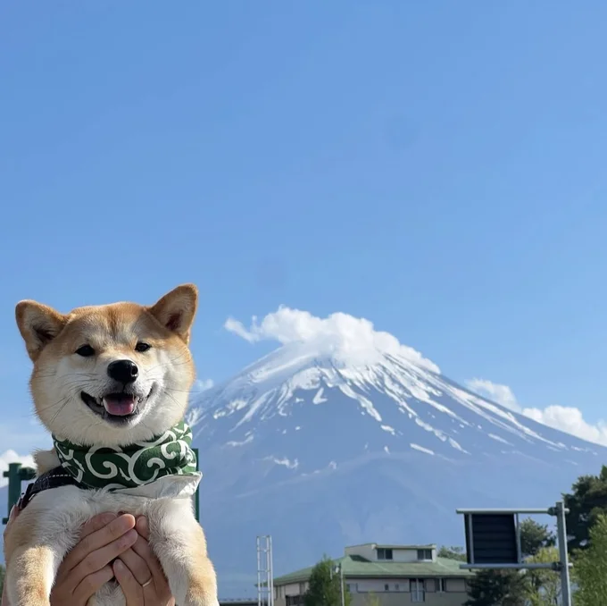 富士山をバックにハイチーズ！▶癒される赤ちゃんとあめまる君のひととき…（⇒次へ）