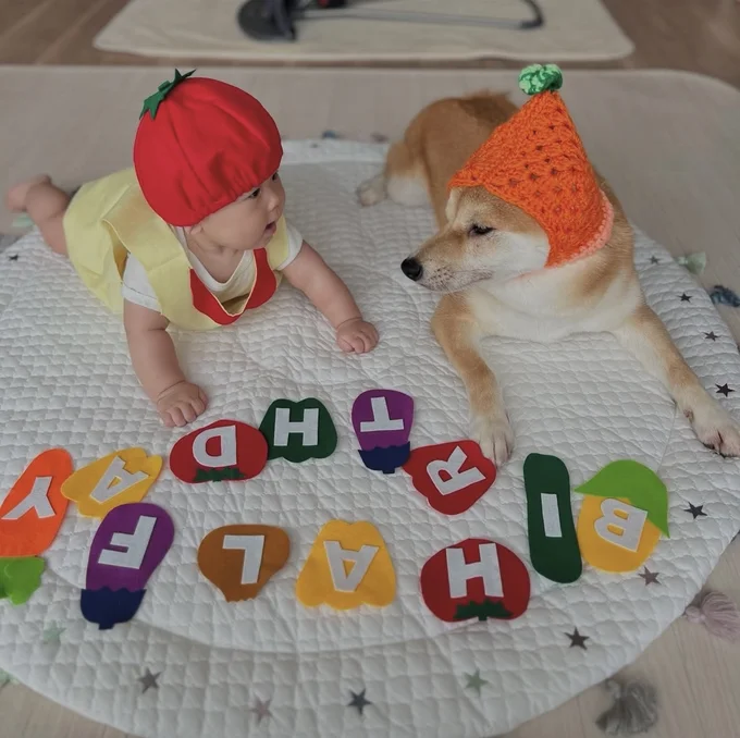 生後半年のお祝い撮影▶まるで兄妹みたい…（⇒次へ）