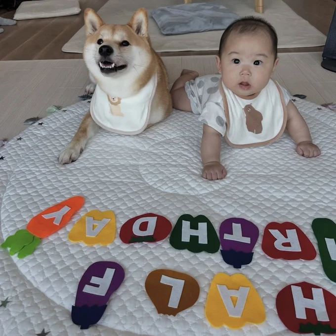 見事に同じ姿勢▶どっちがあめまる君かな！？（⇒次へ）