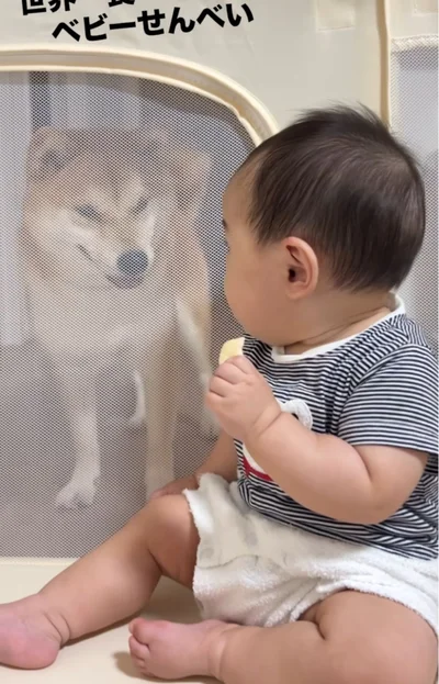 視線を感じて振り返る赤ちゃん▶お出かけ先でのベストショット（⇒次へ）