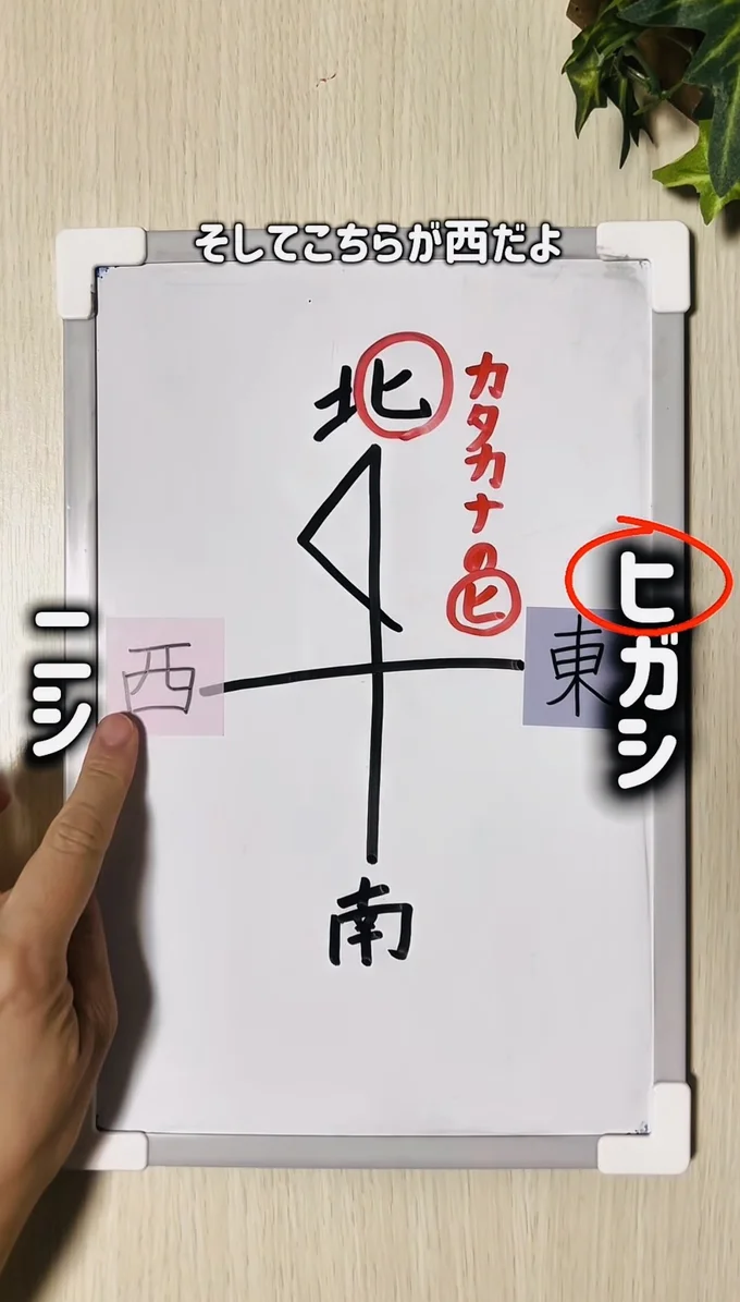 左側が「西」になる▶ほかにも子どもに教えたくなる裏ワザが…（⇒次へ）