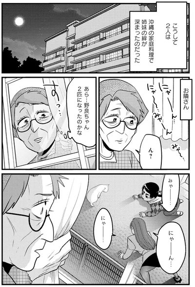 あら...野良ちゃん2匹になったのかな