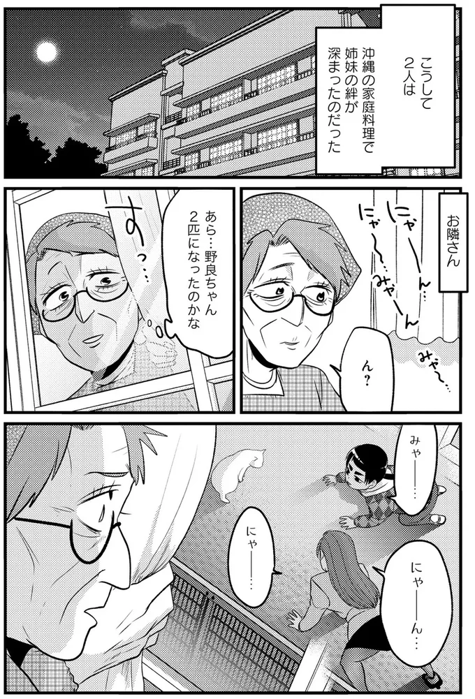 あら...野良ちゃん2匹になったのかな