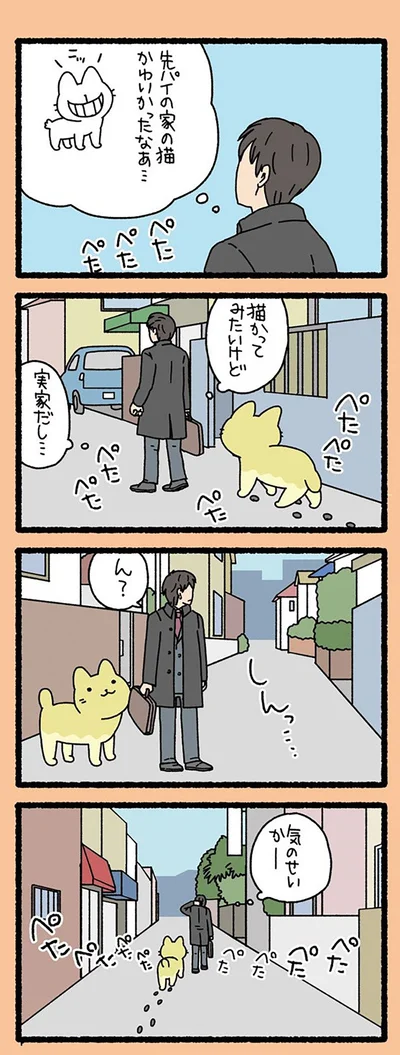 猫かってみたいけど