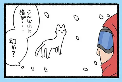 「こんな山に猫？」突然の吹雪で道に迷った登山者を助けてくれたのは