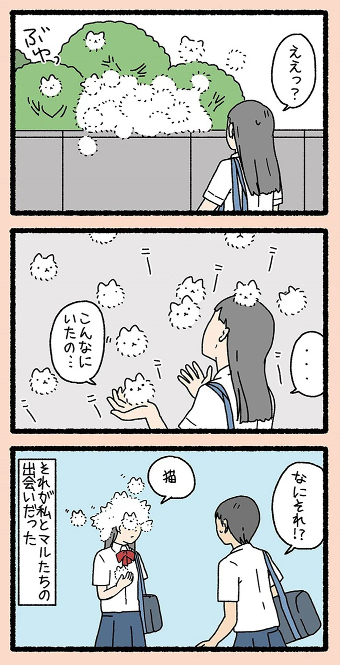 こんなにいたの…
