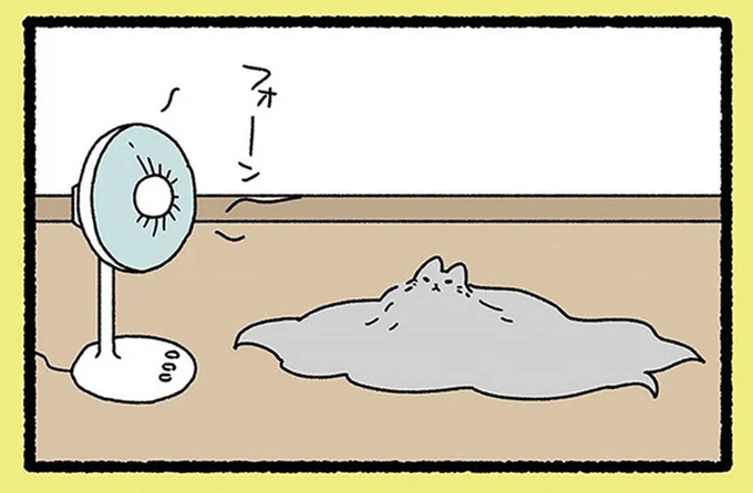 長～い毛が特徴の「けうけげん」。扇風機の前に行くとオモシロ姿に？