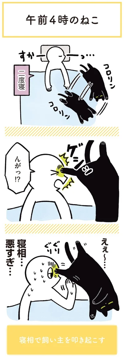 『黒猫ろんと暮らしたら3』より