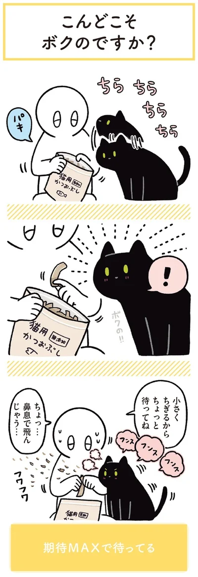『黒猫ろんと暮らしたら3』より