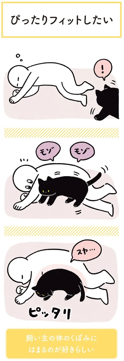 『黒猫ろんと暮らしたら3』より