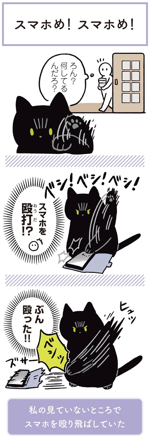 『黒猫ろんと暮らしたら3』より