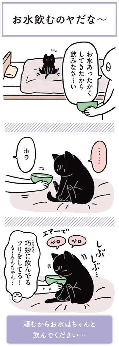 『黒猫ろんと暮らしたら3』より