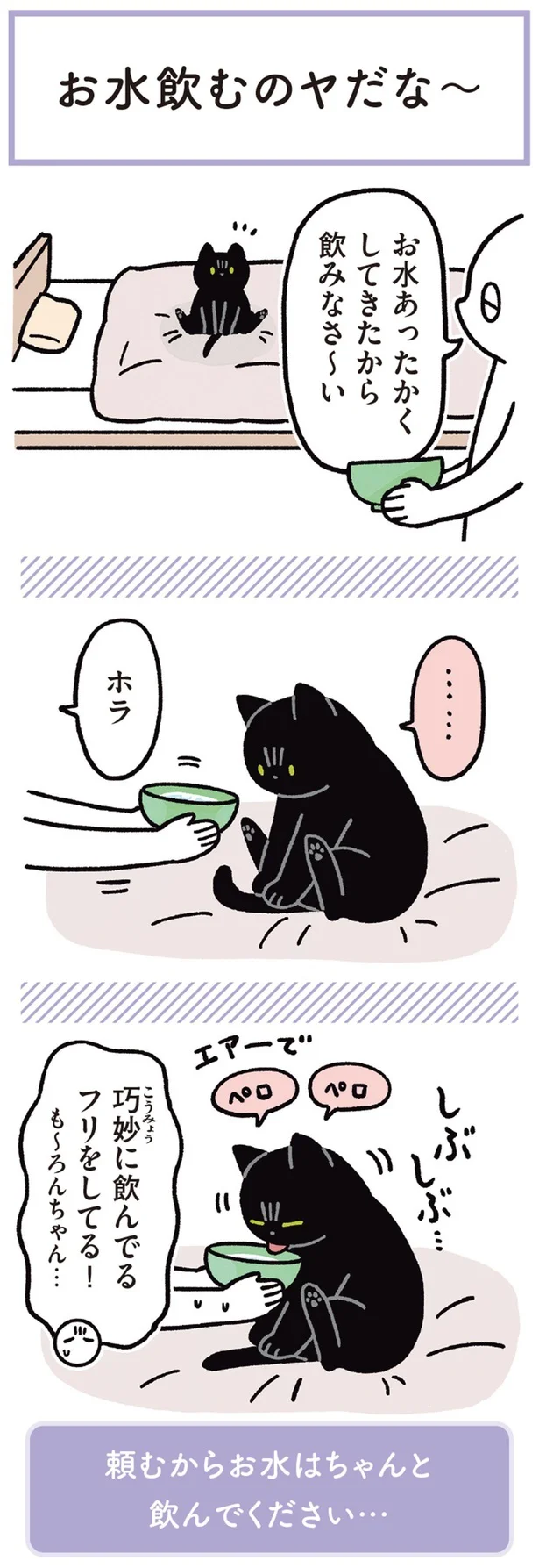 『黒猫ろんと暮らしたら3』より