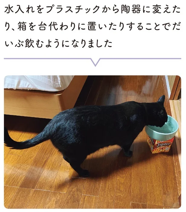 『黒猫ろんと暮らしたら3』より