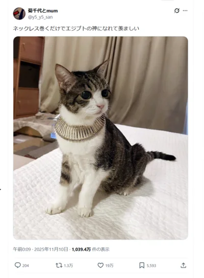 ネックレスの形状も相まって、完全にバステト神ですね！▶美しい佇まいや穏やかな表情で（⇒次へ）