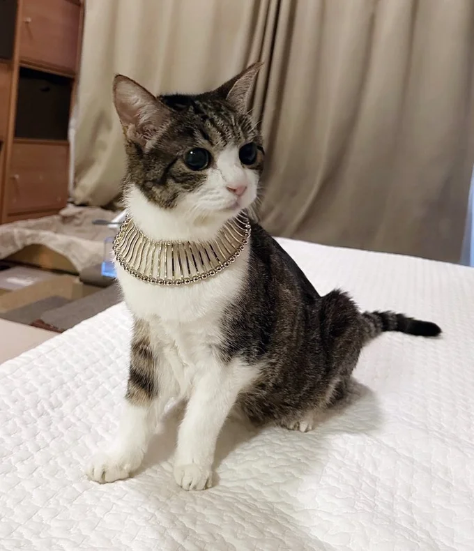 一層神々しさを醸し出しています。思わず拝みたくなっちゃう!(笑)▶太陽の光に当たると(⇒次へ)