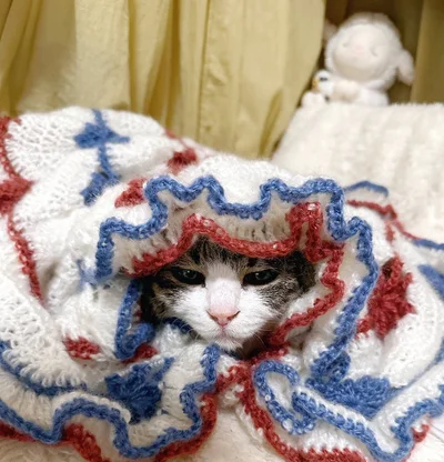 寒い日は防寒対策必須です！包まれている姿も可愛い～！▶包まれて可愛いショット、続きます♪（⇒次へ）