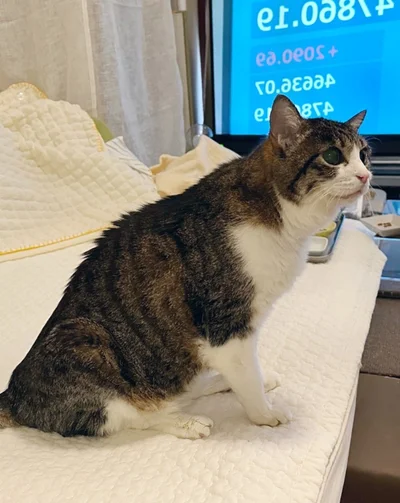 何となく生きてきた時間の長さを感じさせてくれます。▶暖かそうな服を着た菊千代ちゃんも（⇒次へ）