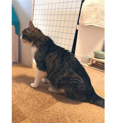 猫背が緩やかになるそうです。い、意外！でもこれはこれで美しいですね。▶そのなだらかな猫背は（⇒次へ）