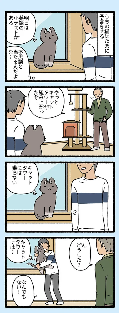 キャットタワーには…