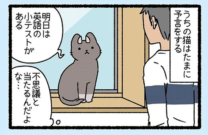 不思議と当たる!? 予言をする猫「くだん」との日常生活