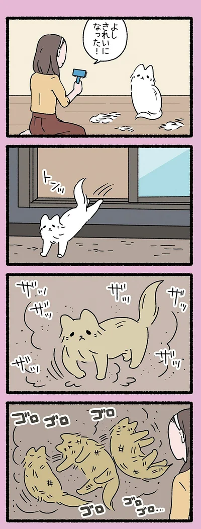 きれいになった！