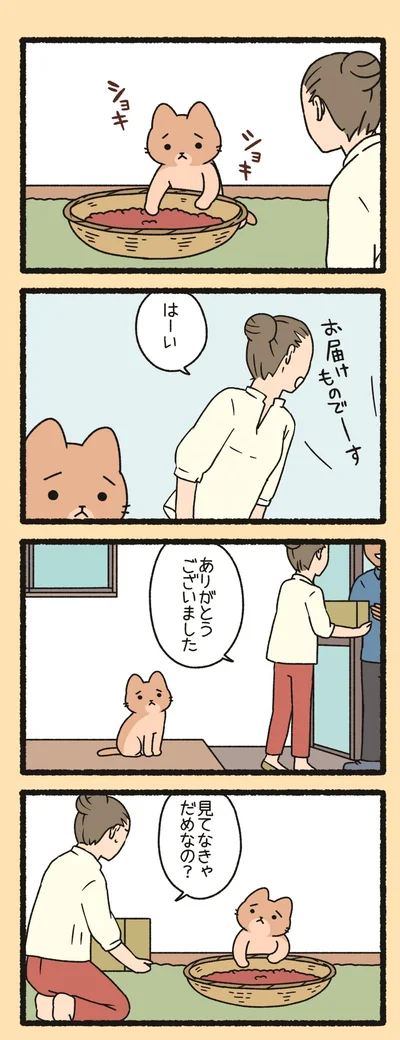 見てなきゃだめなの？