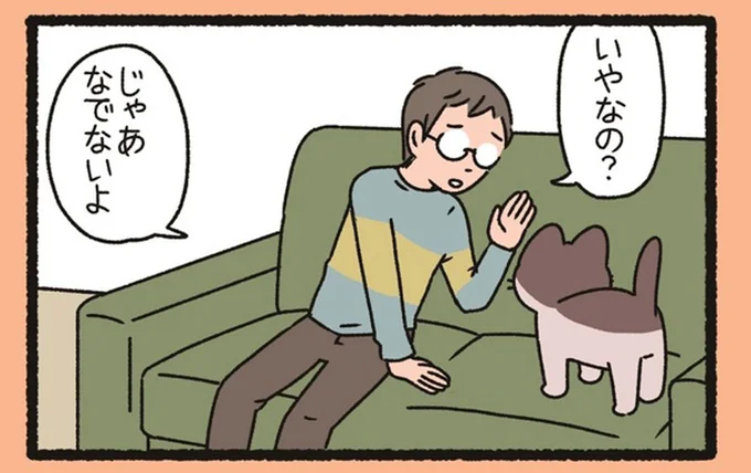 なでるのを拒否する「あまのじゃく」。なでるのをやめようとすると？