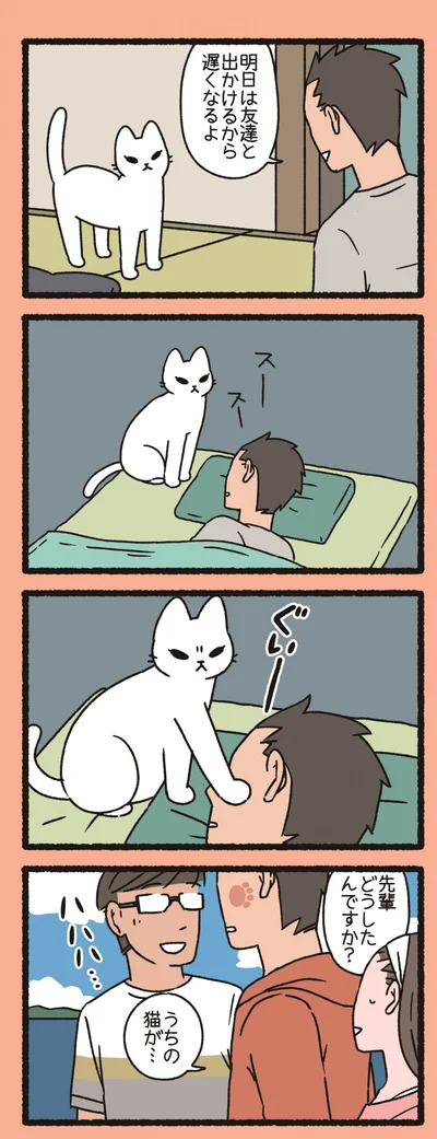 うちの猫が…