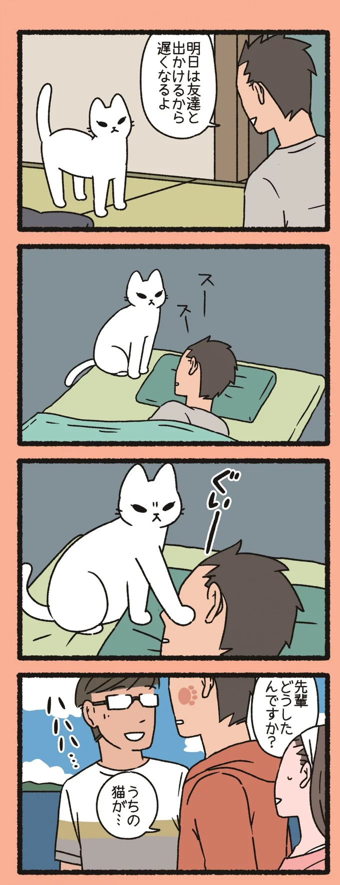 うちの猫が…