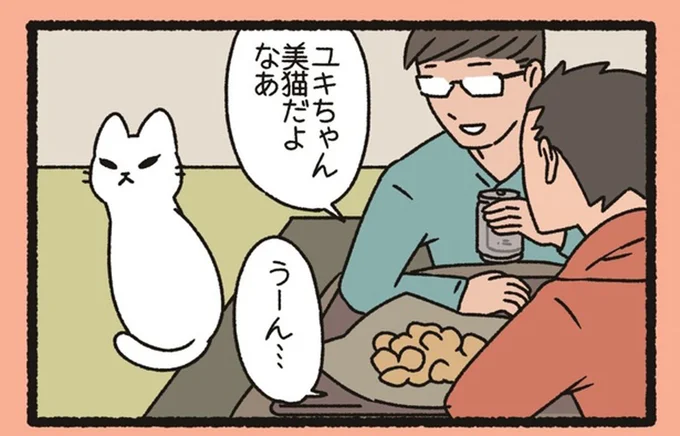 ツンデレ全開な「ゆきおんな」。美猫と褒められると？