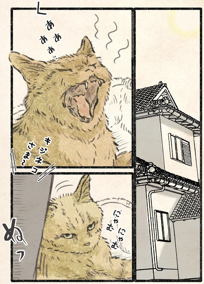 『今日もネコ様の圧が強い2』より