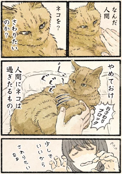 『今日もネコ様の圧が強い2』より