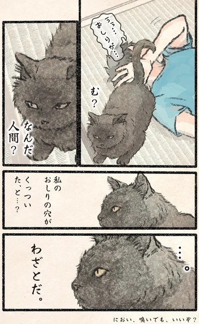 『今日もネコ様の圧が強い2』より