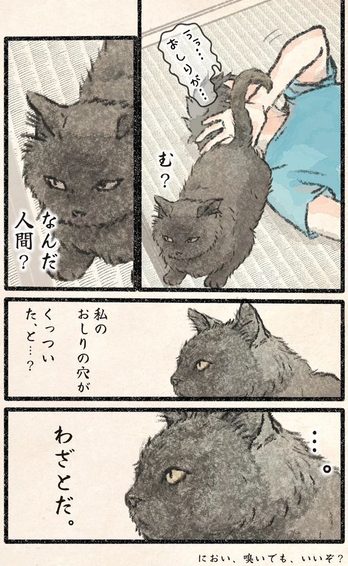 『今日もネコ様の圧が強い2』より