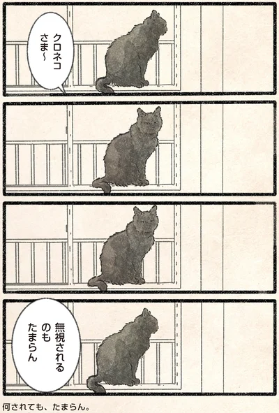 『今日もネコ様の圧が強い2』より