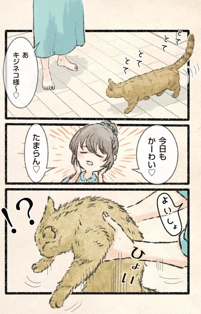 『今日もネコ様の圧が強い2』より