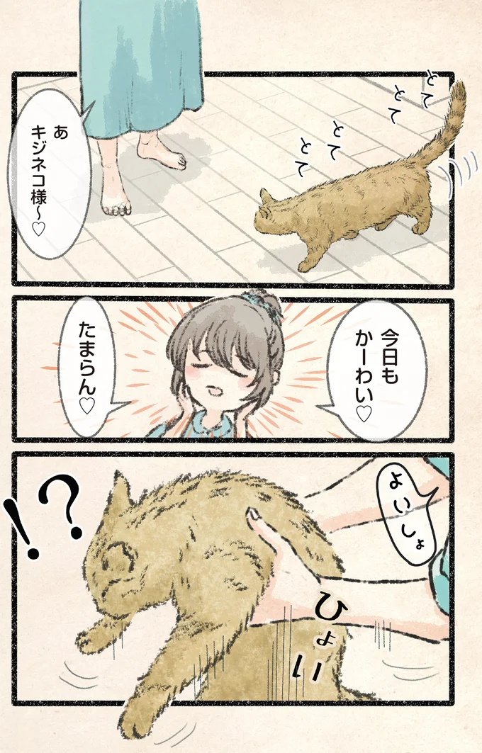 『今日もネコ様の圧が強い2』より