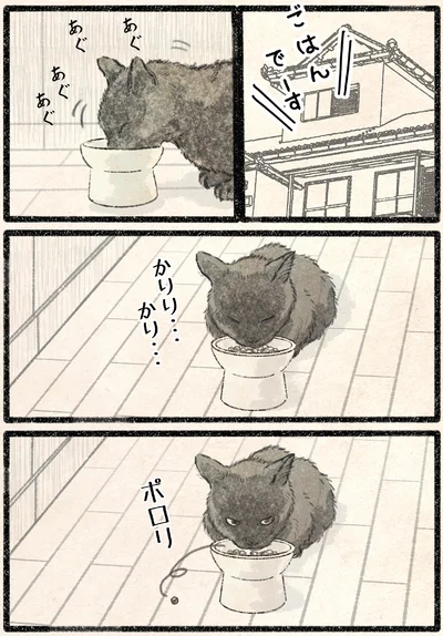 『今日もネコ様の圧が強い2』より