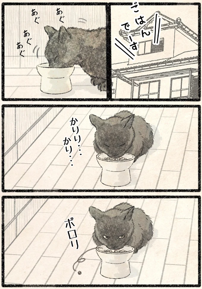 『今日もネコ様の圧が強い2』より