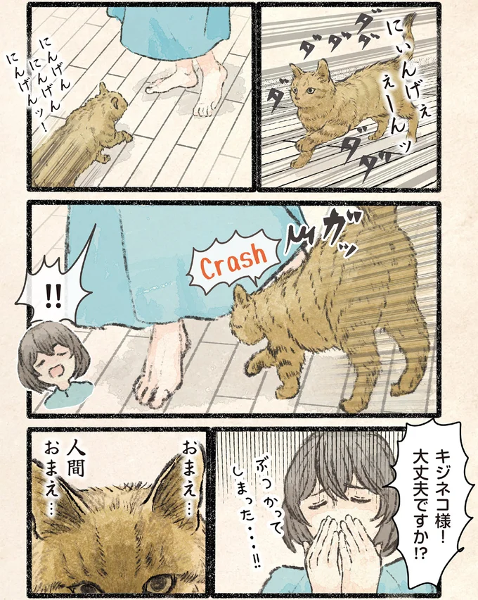 『今日もネコ様の圧が強い2』より