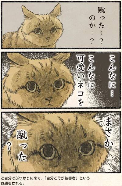 『今日もネコ様の圧が強い2』より