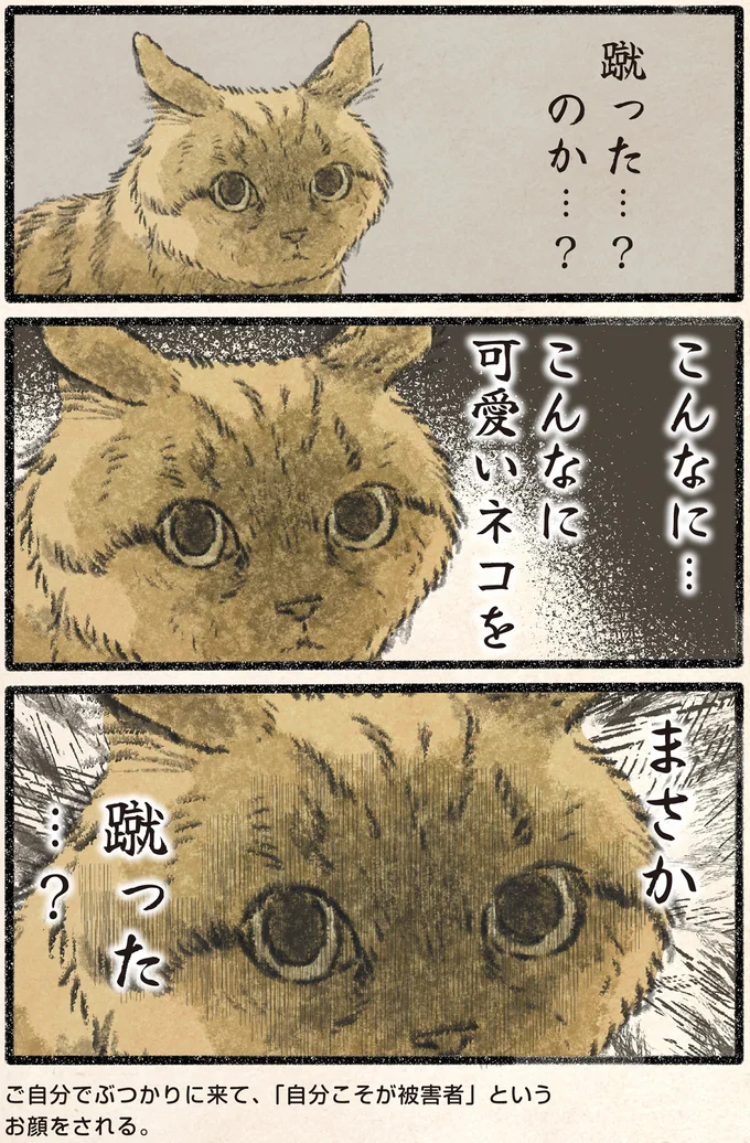 『今日もネコ様の圧が強い2』より