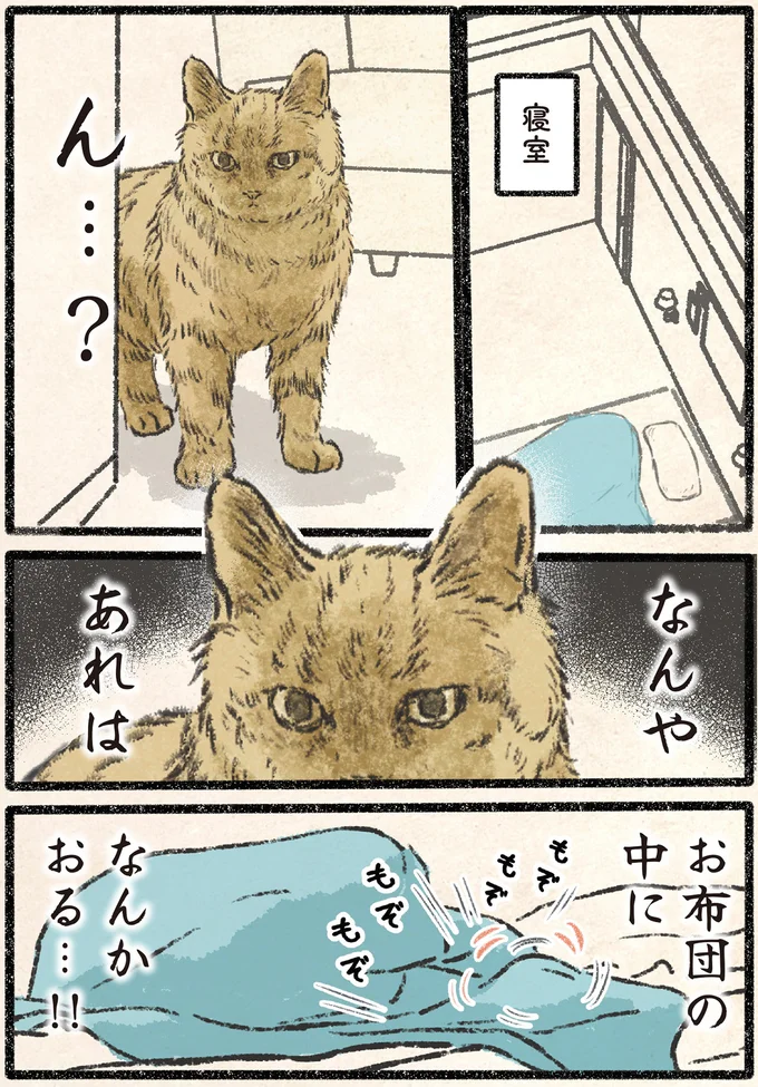 『今日もネコ様の圧が強い2』より